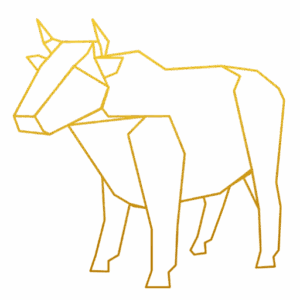 Paper Calf trans gradient