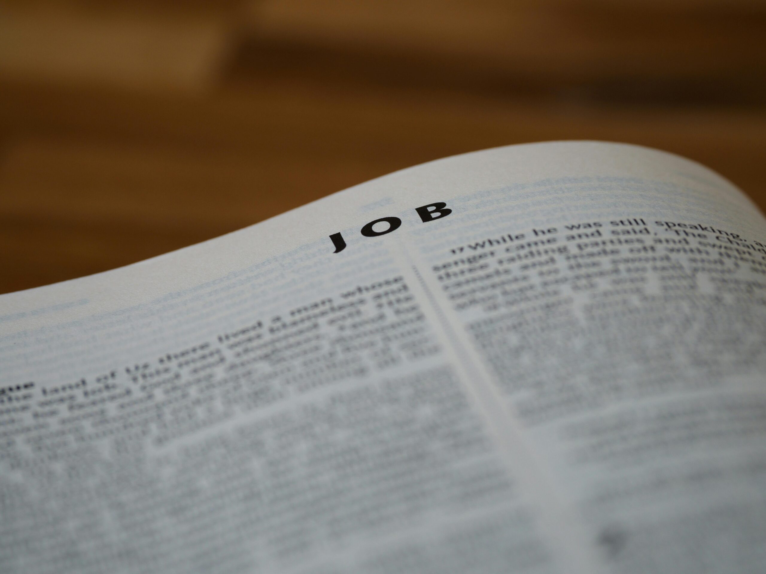 Bible book job
