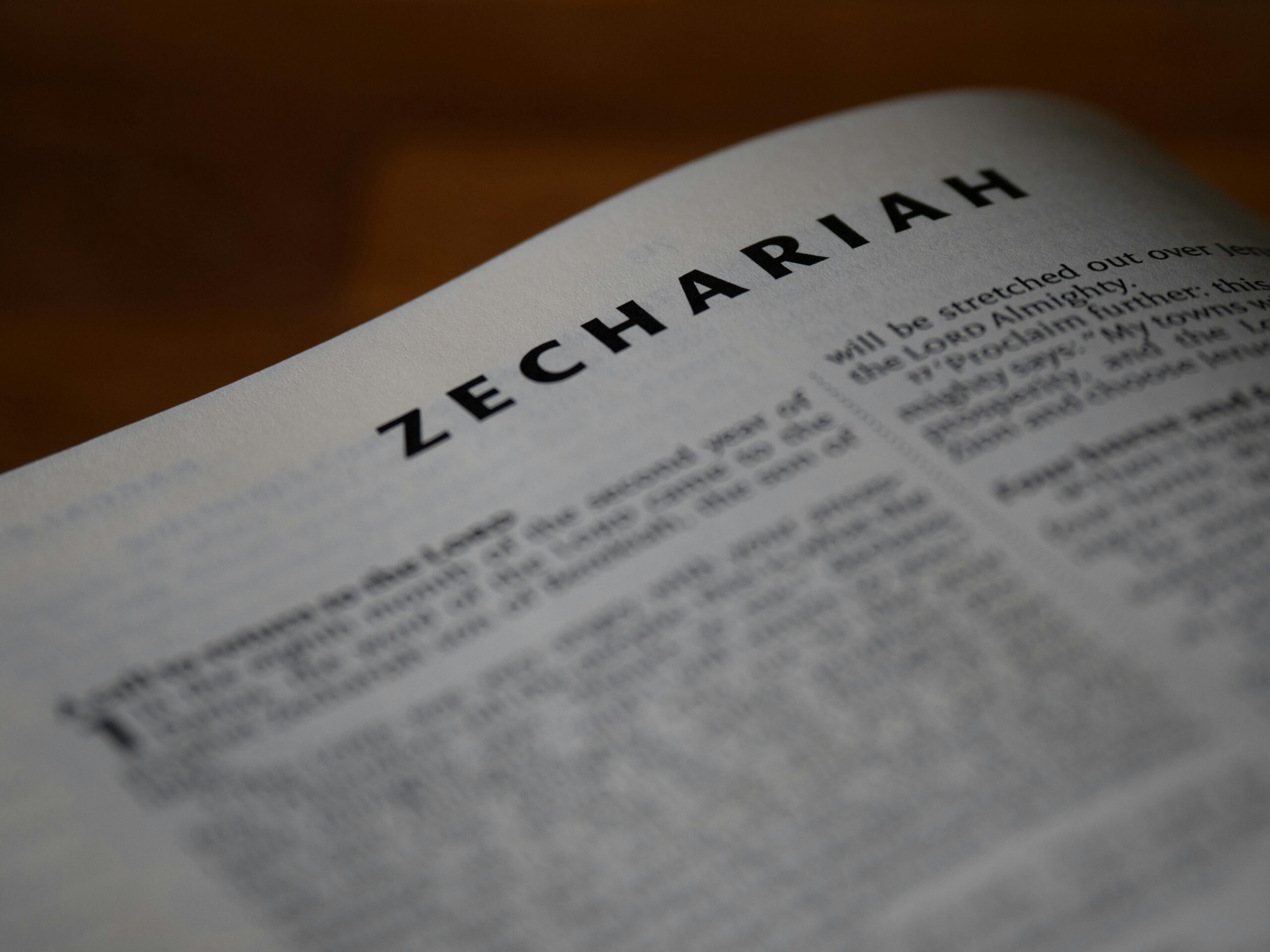 Bible book zechariah